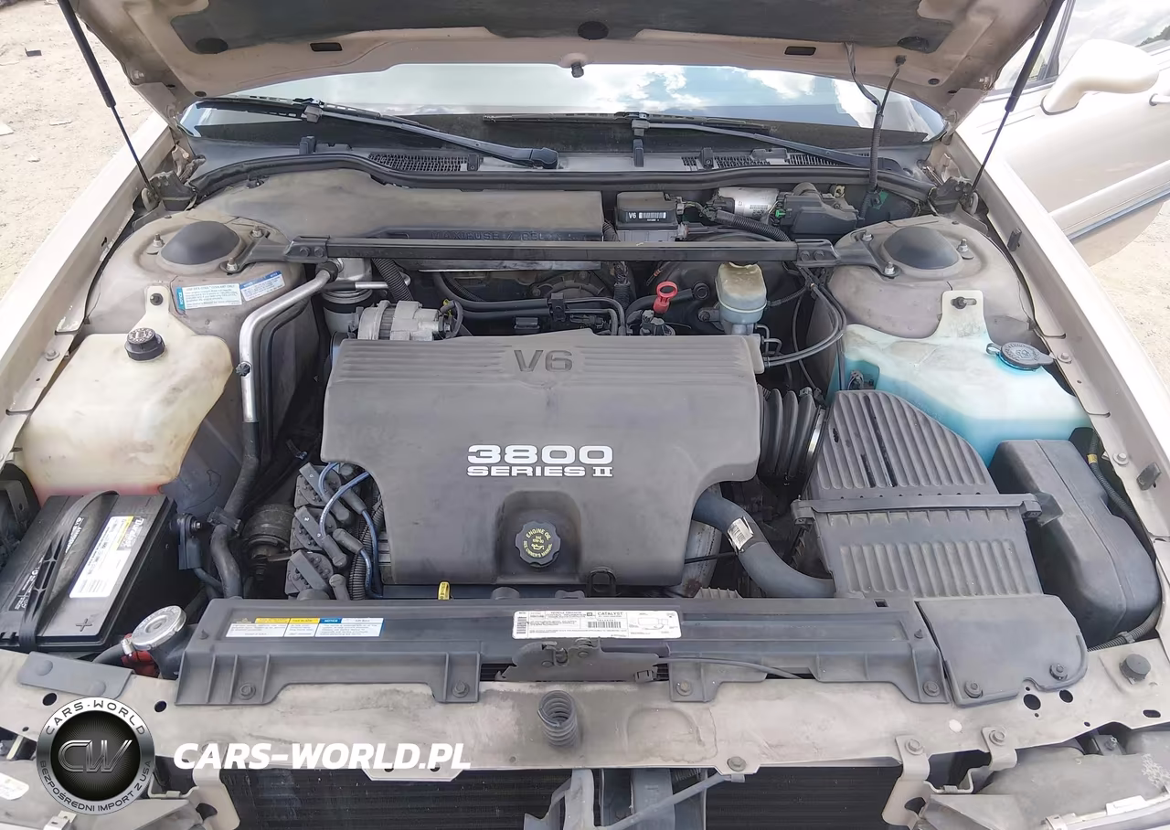 1999 Buick Lesabre Custom VIN:1G4HP52K6XH400310 - 10
