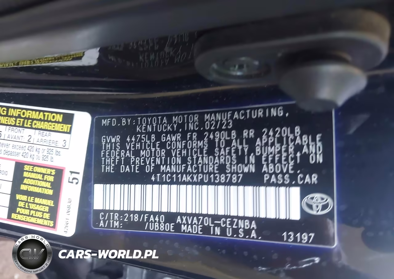 2023 Toyota Camry Le VIN:4T1C11AKXPU138787 - 9