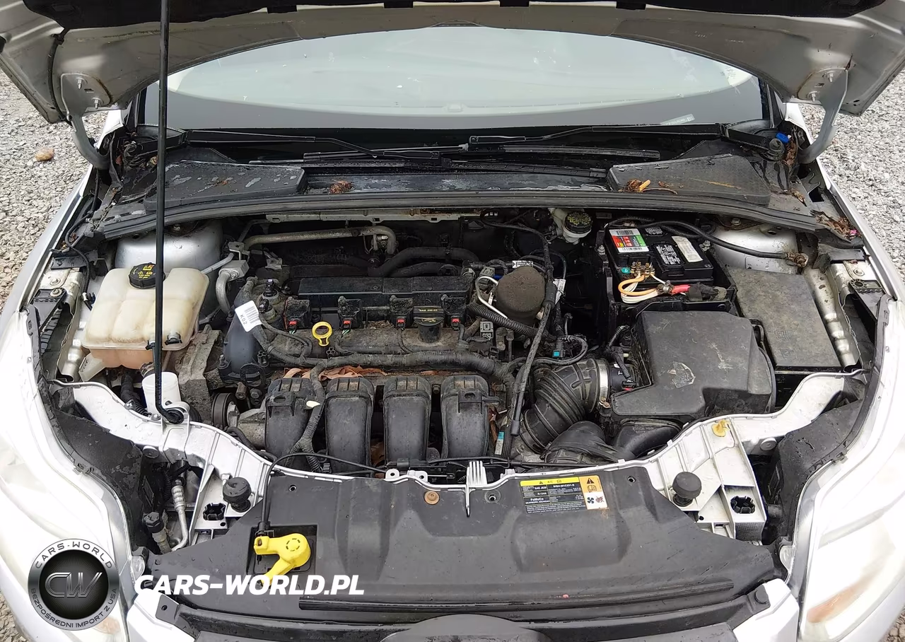 2014 Ford Focus Se VIN:1FADP3F25EL107449 - 10