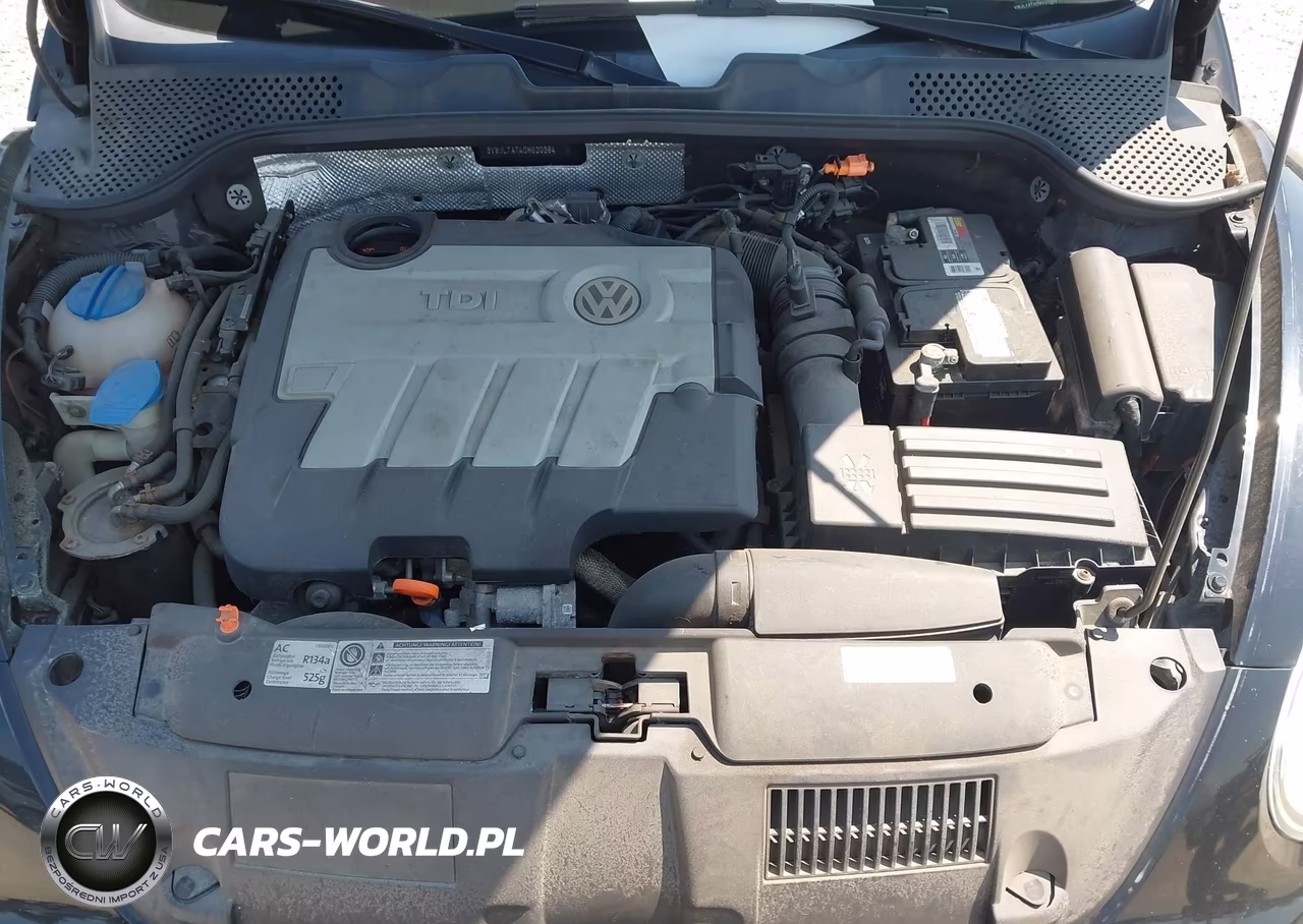 2013 Volkswagen Beetle 2.0L Tdi VIN:3VWJL7AT4DM620394 - 10