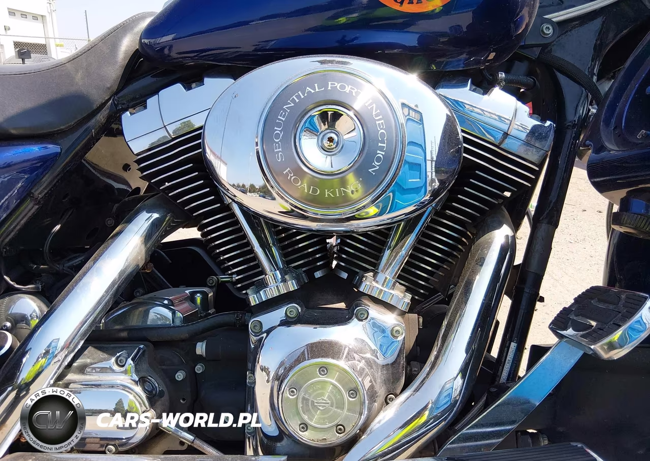2003 Harley-Davidson Flhri Shrine VIN:1HD1FWW193Y706667 - 8