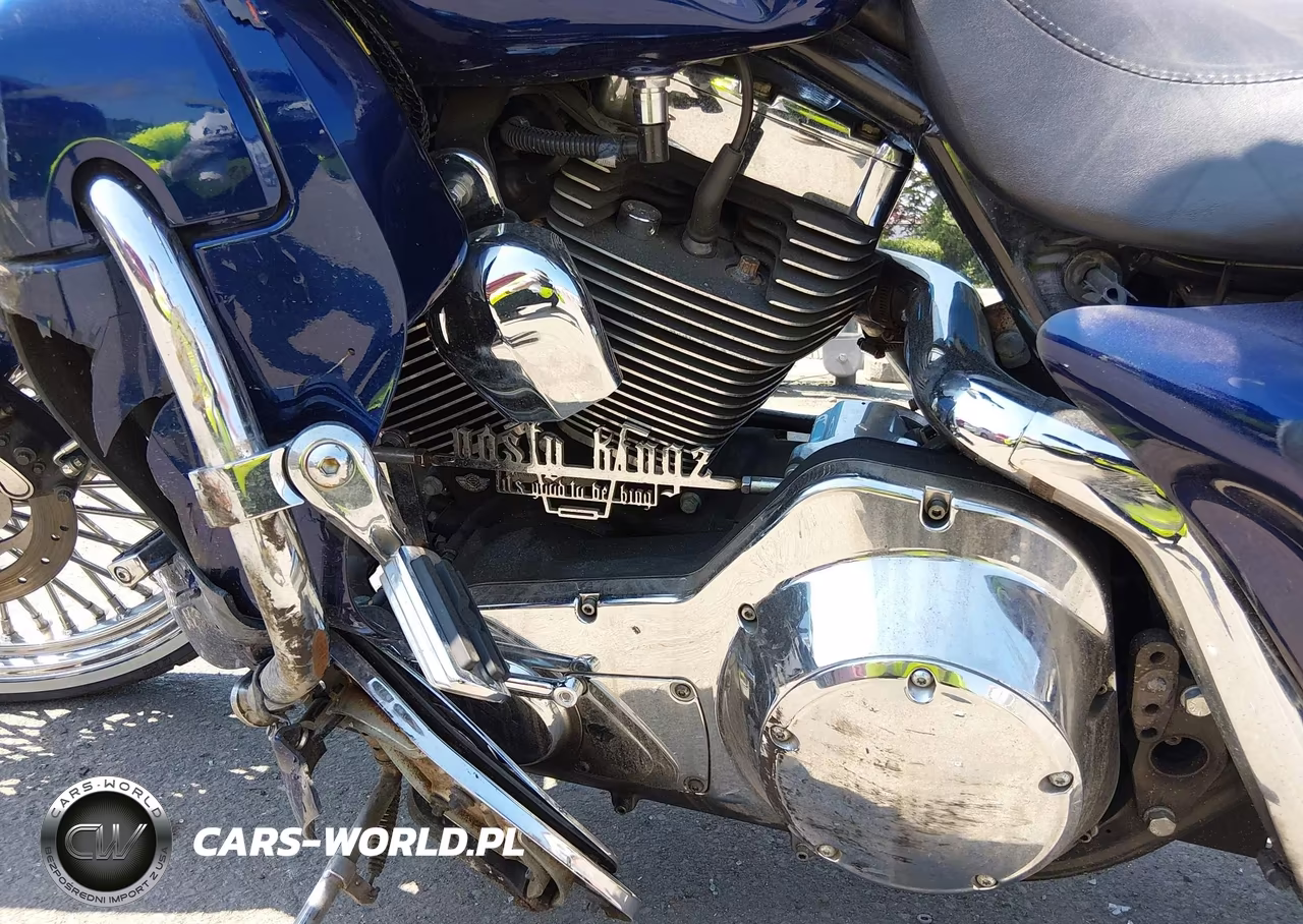 2003 Harley-Davidson Flhri Shrine VIN:1HD1FWW193Y706667 - 9