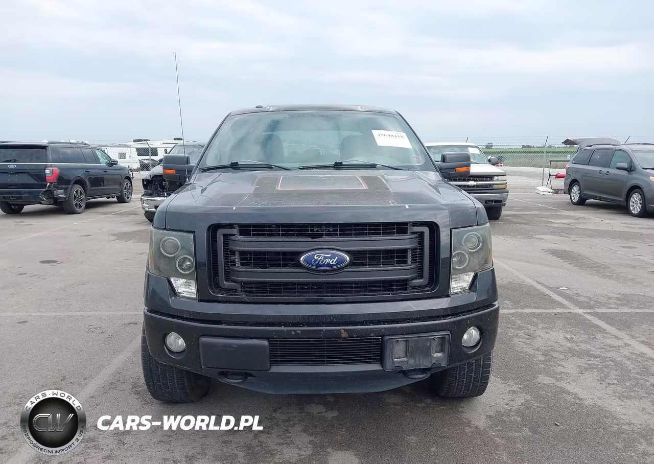 2013 Ford F-150 Fx4 VIN:1FTFW1ET9DKE68093 - 12