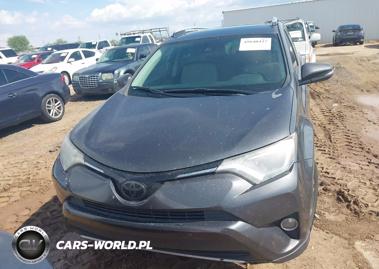 2016 Toyota Rav4 Xle VIN:JTMWFREV9GJ084132 - 12