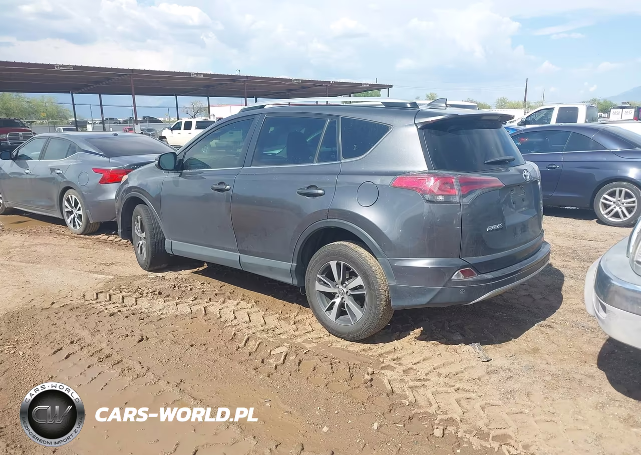 2016 Toyota Rav4 Xle VIN:JTMWFREV9GJ084132 - 3