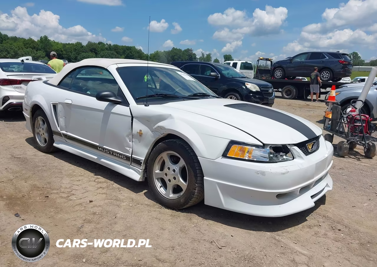 2002 Ford Mustang Deluxe-Premium