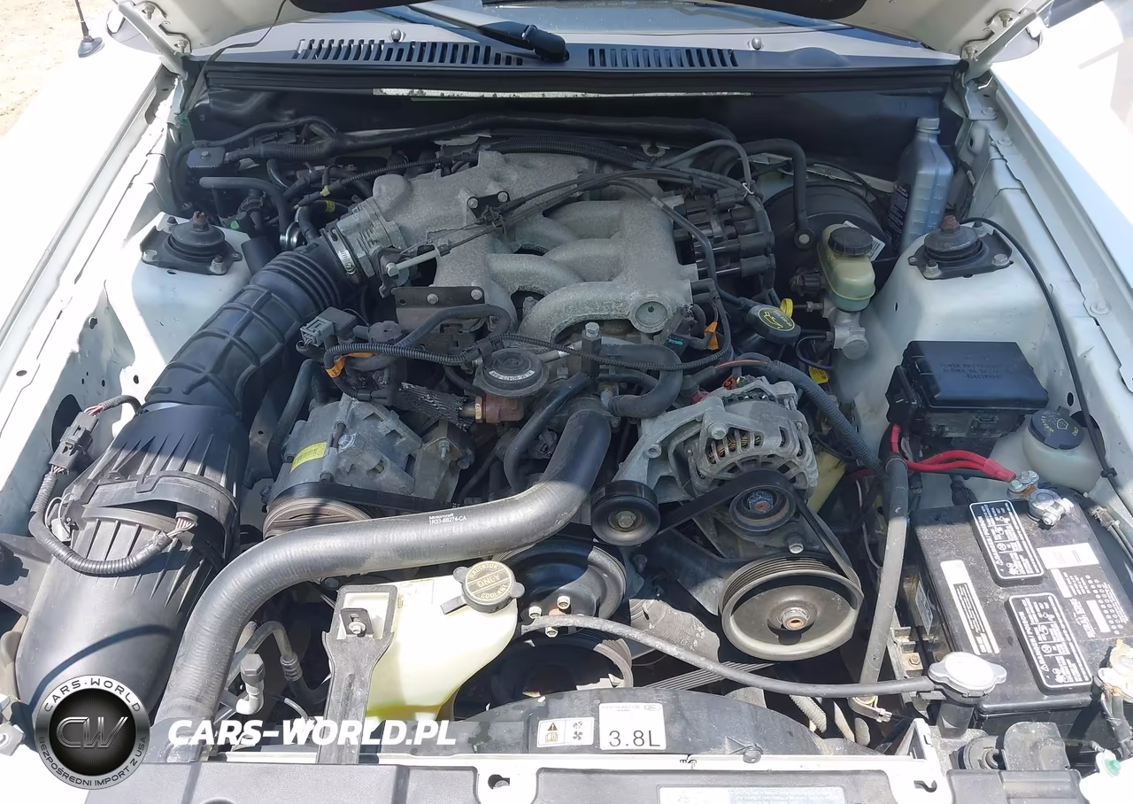 2002 Ford Mustang Deluxe-Premium VIN:1FAFP44432F176346 - 10