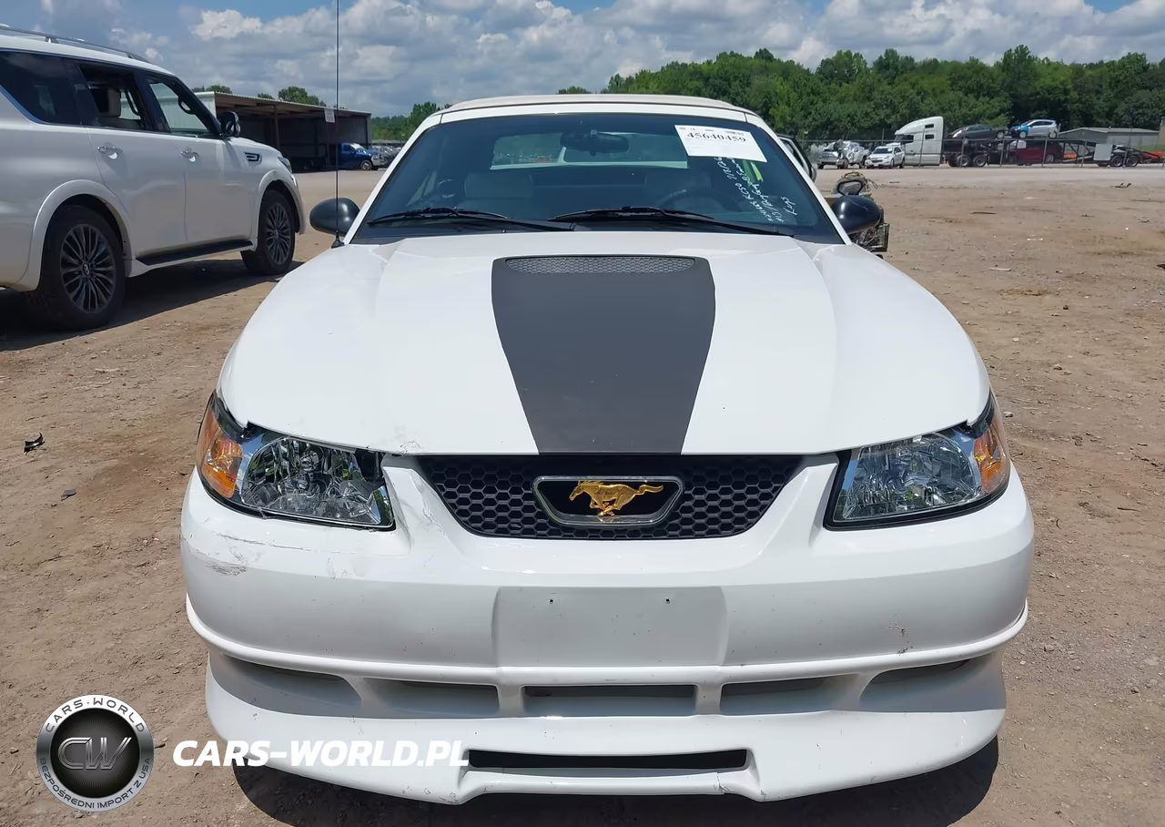 2002 Ford Mustang Deluxe-Premium VIN:1FAFP44432F176346 - 12
