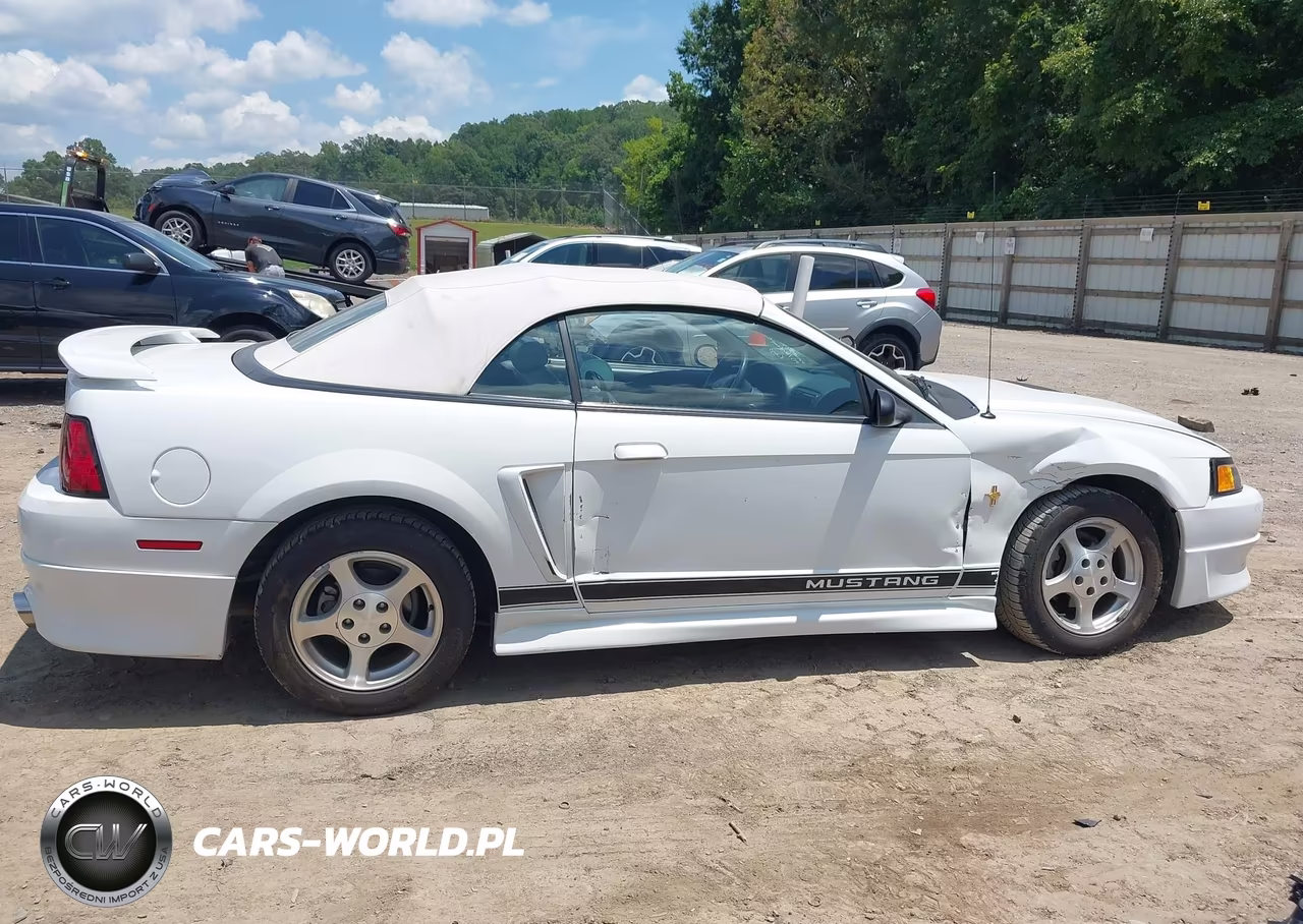 2002 Ford Mustang Deluxe-Premium VIN:1FAFP44432F176346 - 13