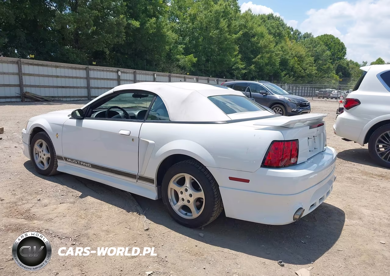 2002 Ford Mustang Deluxe-Premium VIN:1FAFP44432F176346 - 3