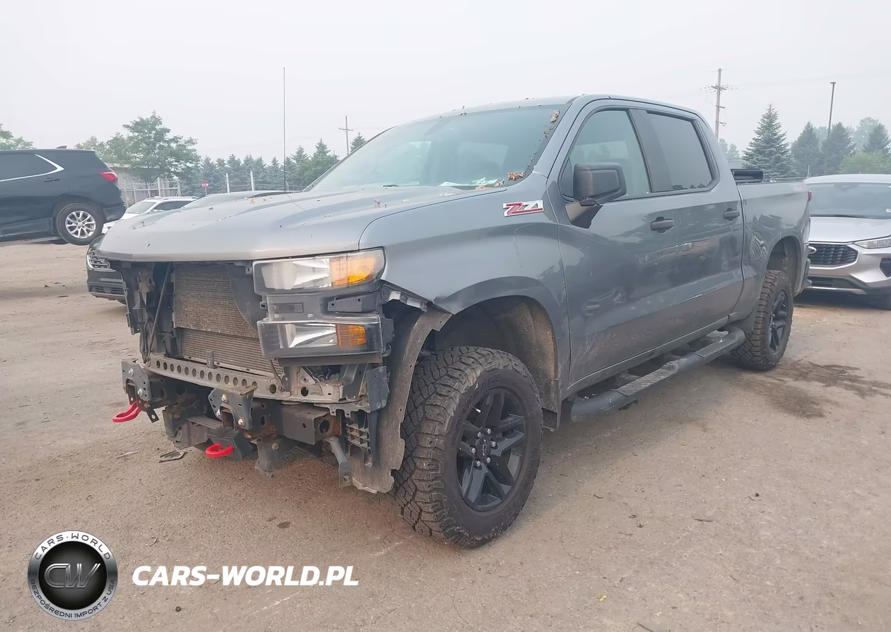 2019 Chevrolet Silverado 1500 Custom Trail Boss VIN:3GCPYCEH2KG149371 - 2