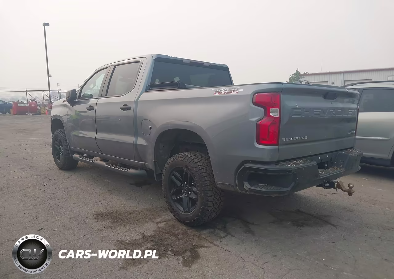 2019 Chevrolet Silverado 1500 Custom Trail Boss VIN:3GCPYCEH2KG149371 - 3
