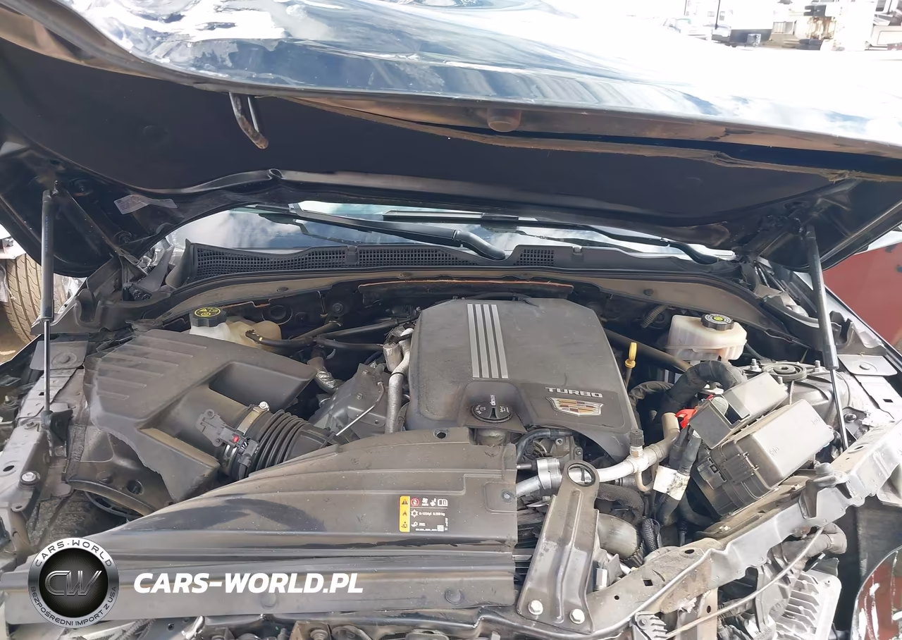 2021 Cadillac Ct4 Luxury VIN:1G6DA5RK9M0114832 - 10