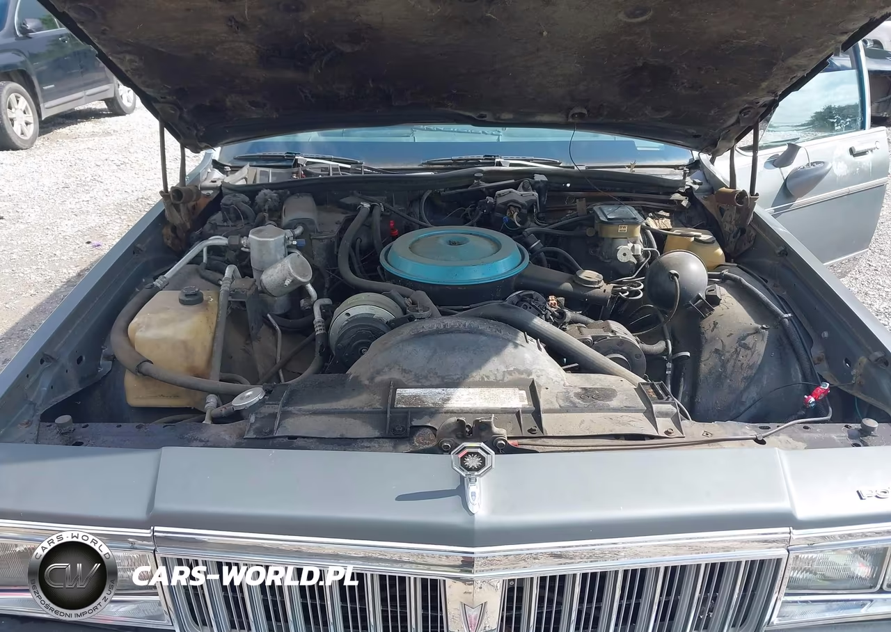 1986 Pontiac Parisienne Brougham VIN:1G2BT69Y9GX271480 - 10