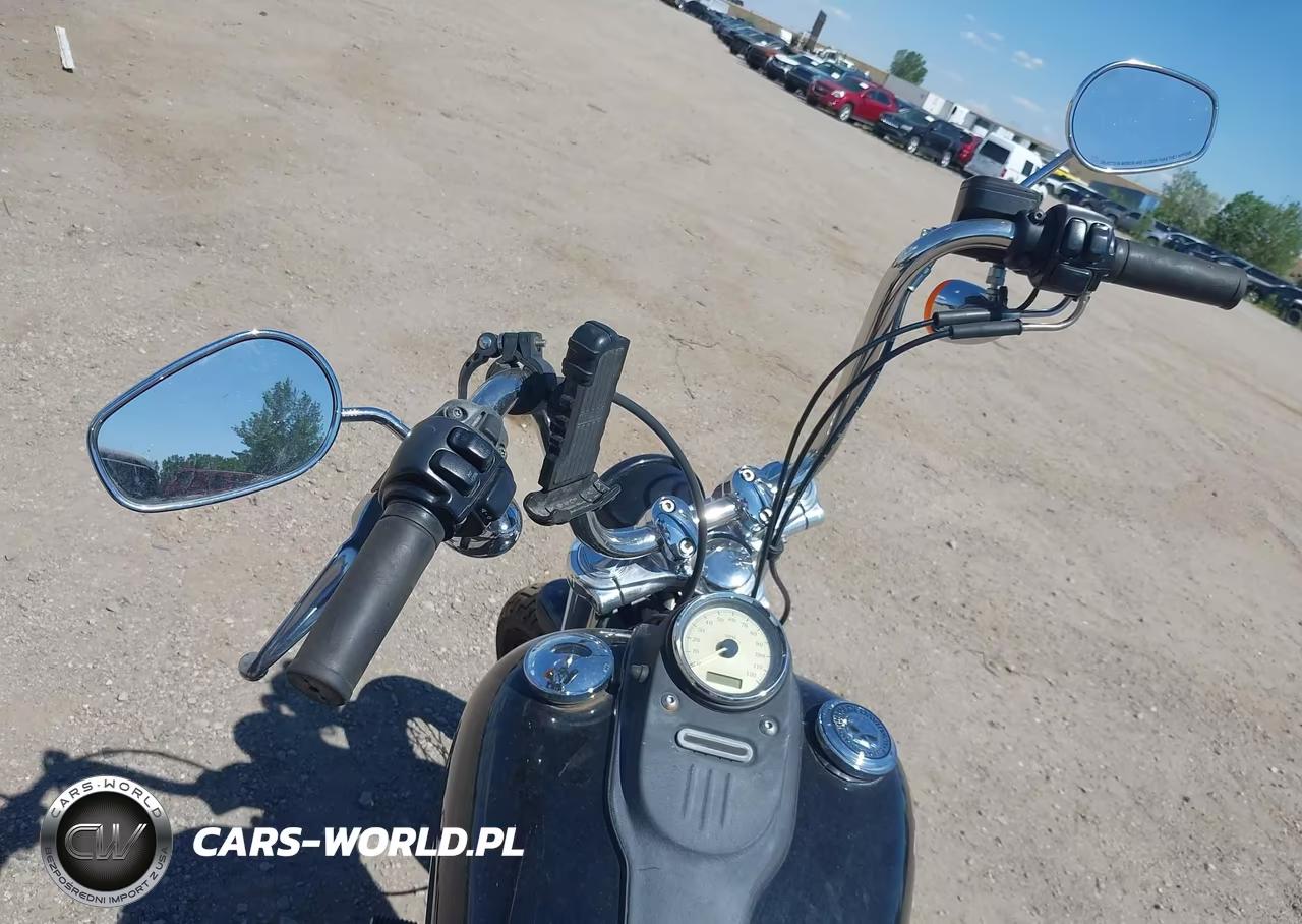 2009 Harley-Davidson Fxdb VIN:1HD1GX4169K333878 - 11
