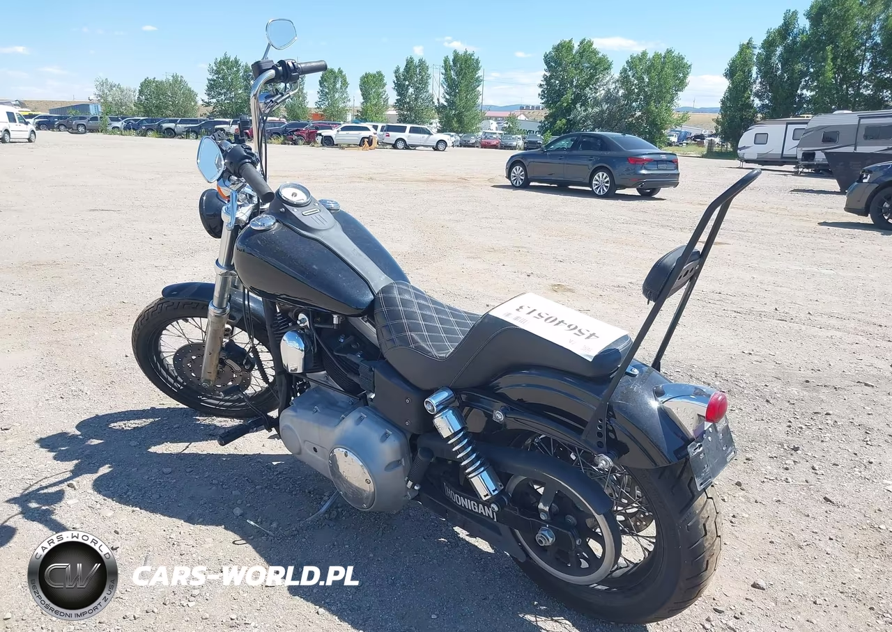 2009 Harley-Davidson Fxdb VIN:1HD1GX4169K333878 - 3