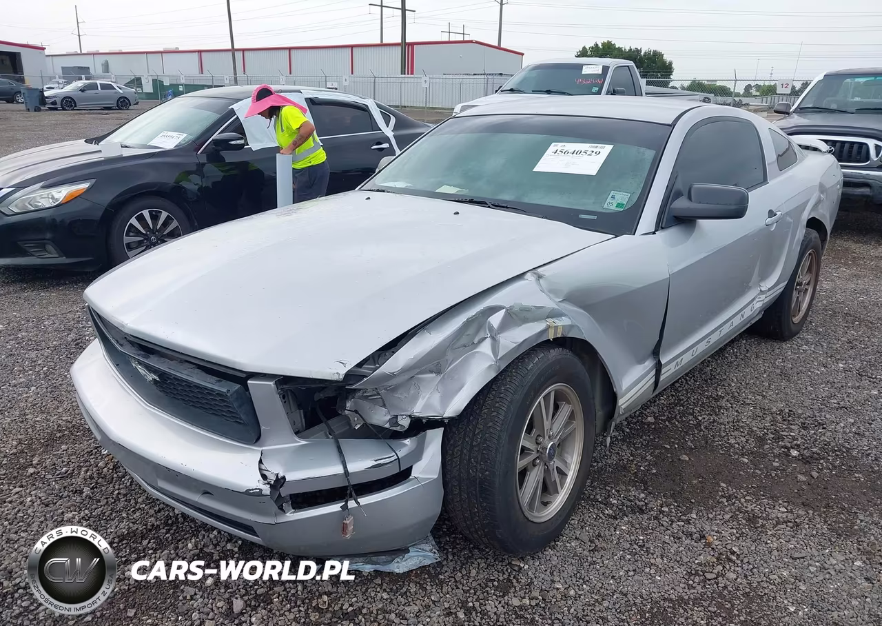 2005 Ford Mustang V6 Deluxe-V6 Premium VIN:1ZVFT80N255230951 - 2
