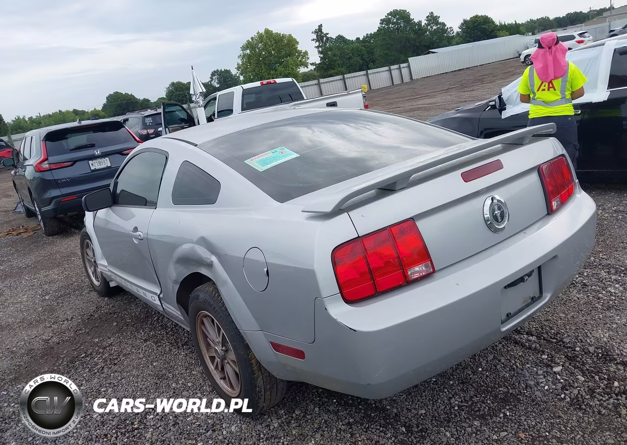 2005 Ford Mustang V6 Deluxe-V6 Premium VIN:1ZVFT80N255230951 - 3