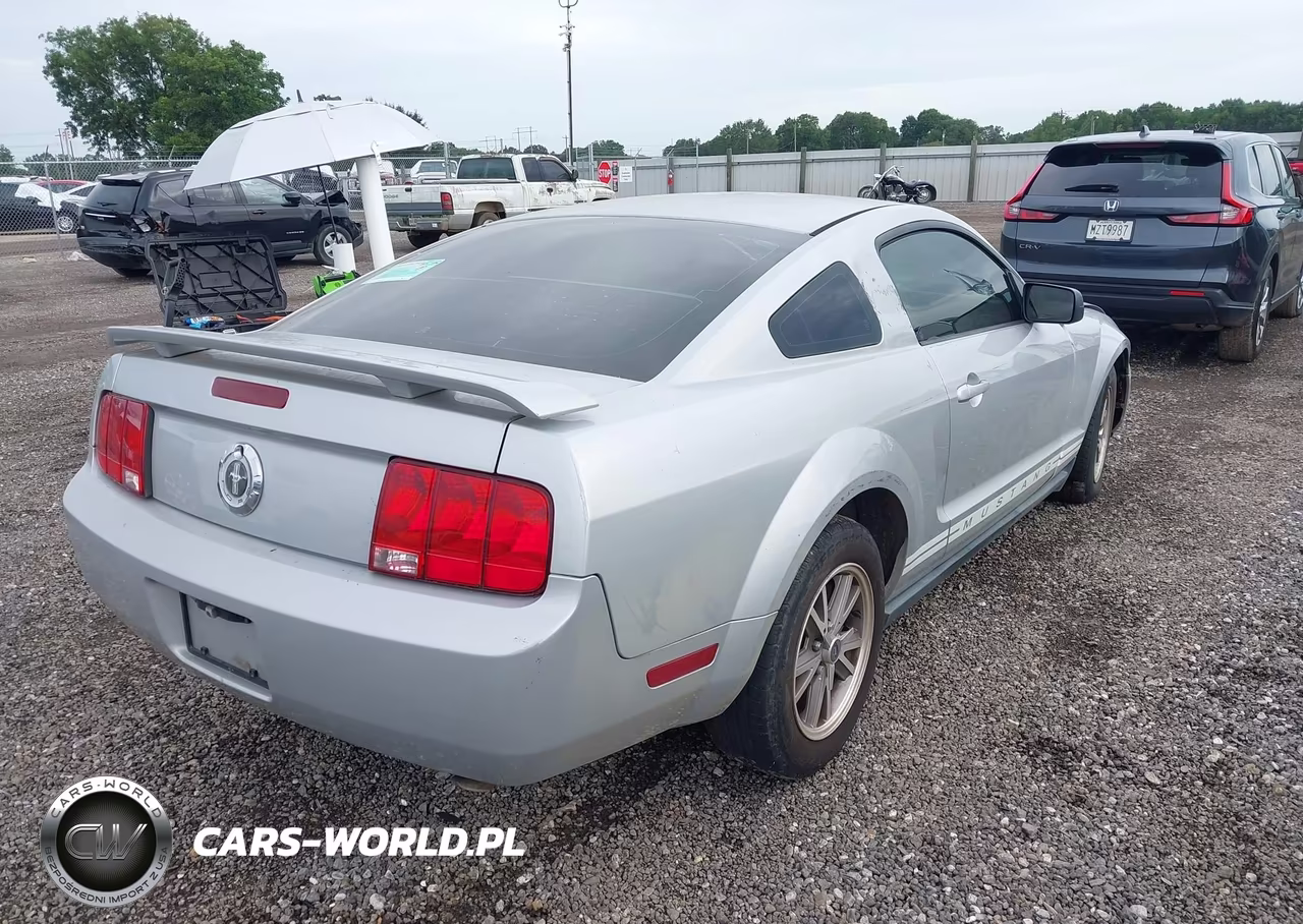 2005 Ford Mustang V6 Deluxe-V6 Premium VIN:1ZVFT80N255230951 - 4