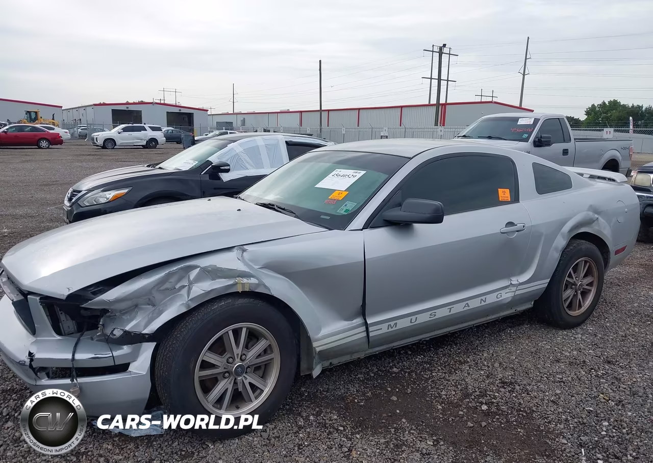 2005 Ford Mustang V6 Deluxe-V6 Premium VIN:1ZVFT80N255230951 - 6