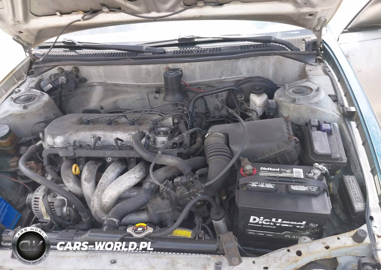 1999 Toyota Corolla Ve VIN:1NXBR12E6XZ296248 - 10
