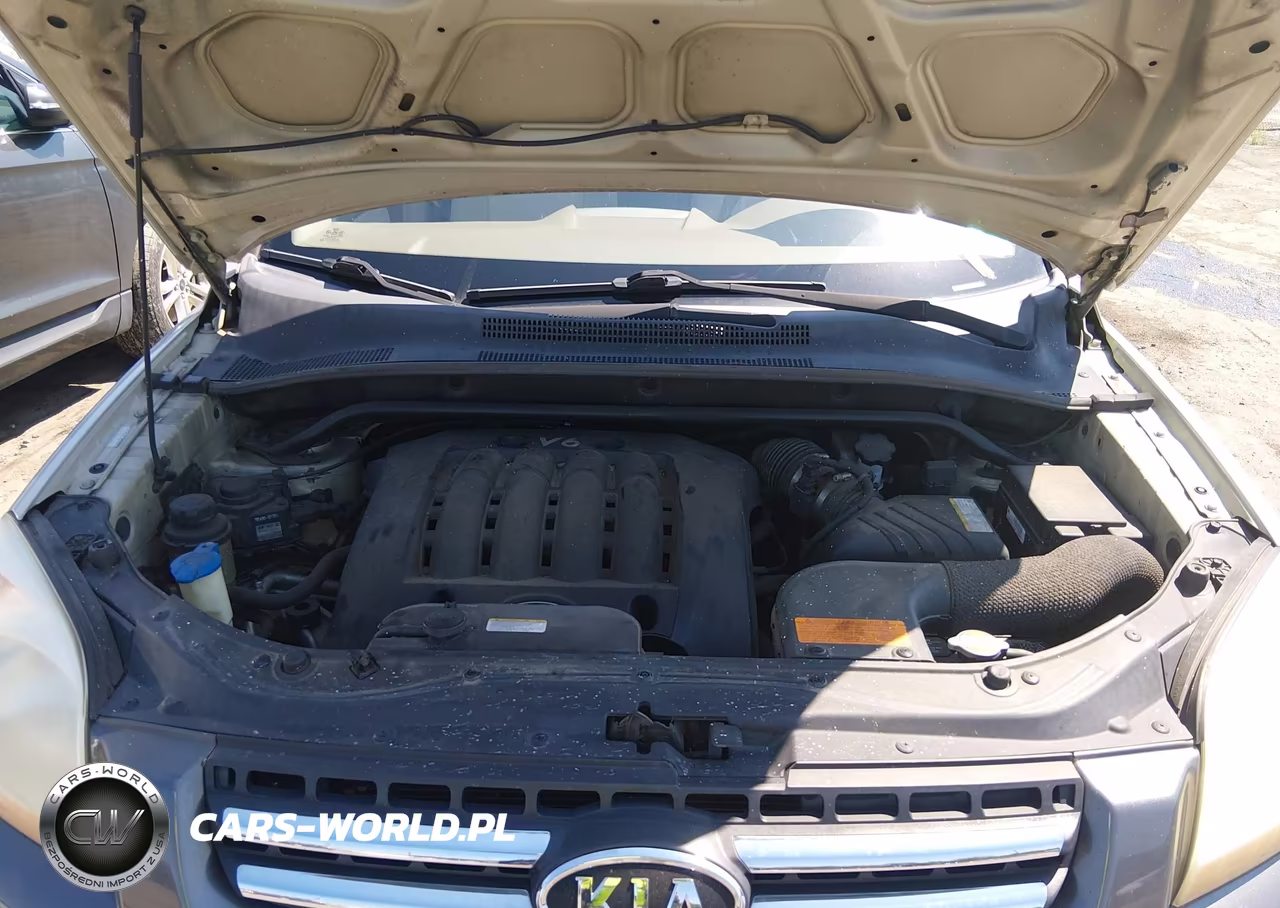 2007 Kia Sportage Lx V6 VIN:KNDJF723177419348 - 10