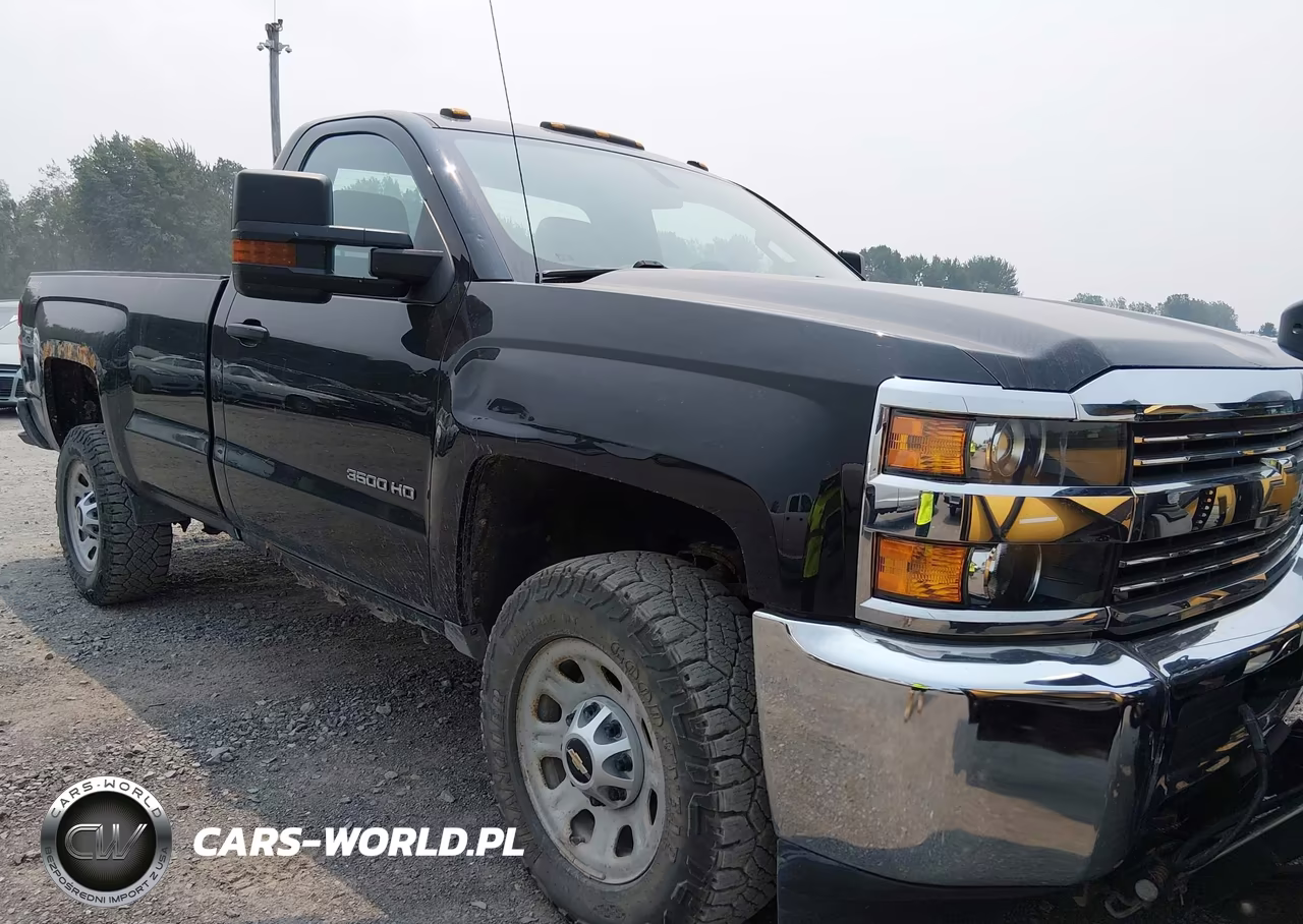 2017 Chevrolet Silverado 3500Hd Work Truck VIN:1GC3KYCG0HZ378499 - 6