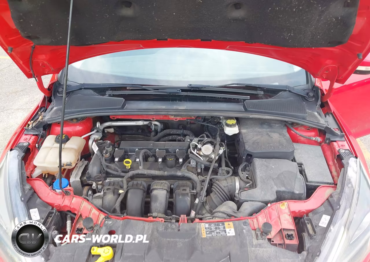 2017 Ford Focus Sel VIN:1FADP3M23HL299011 - 10