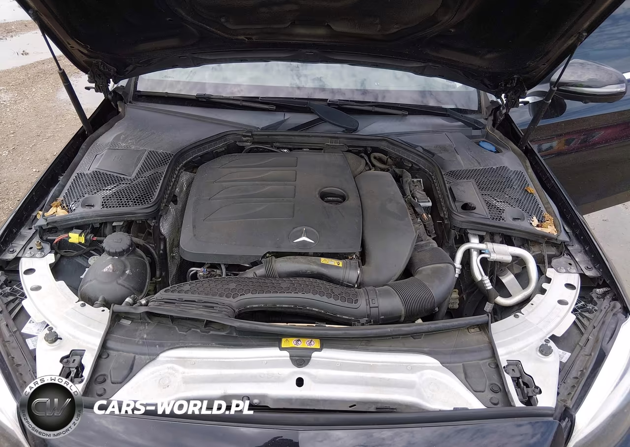 2020 Mercedes-Benz C 300 VIN:WDDWF8DB6LR526335 - 10