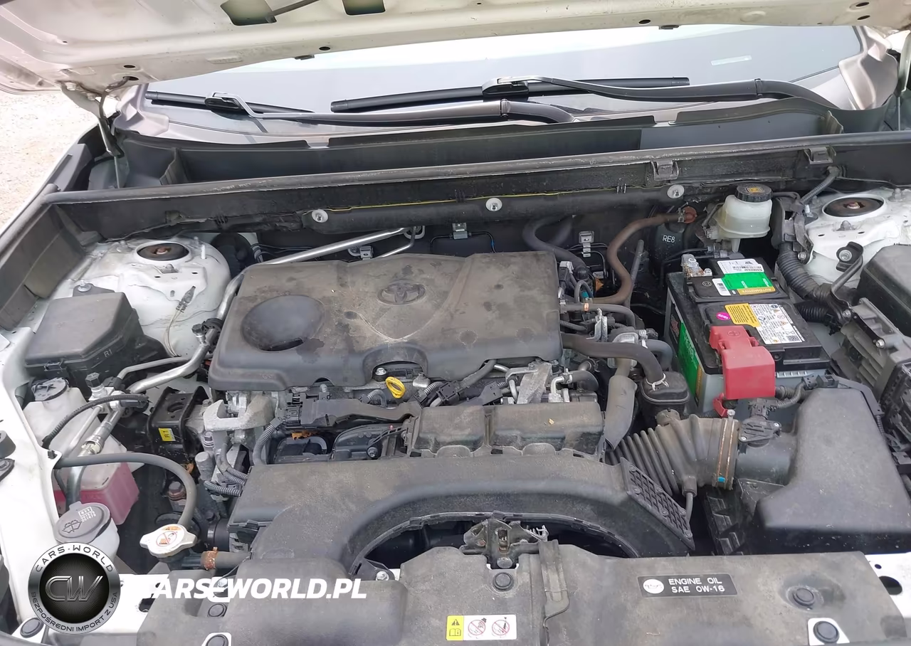2019 Toyota Rav4 Xle VIN:JTMP1RFV1KD501154 - 10