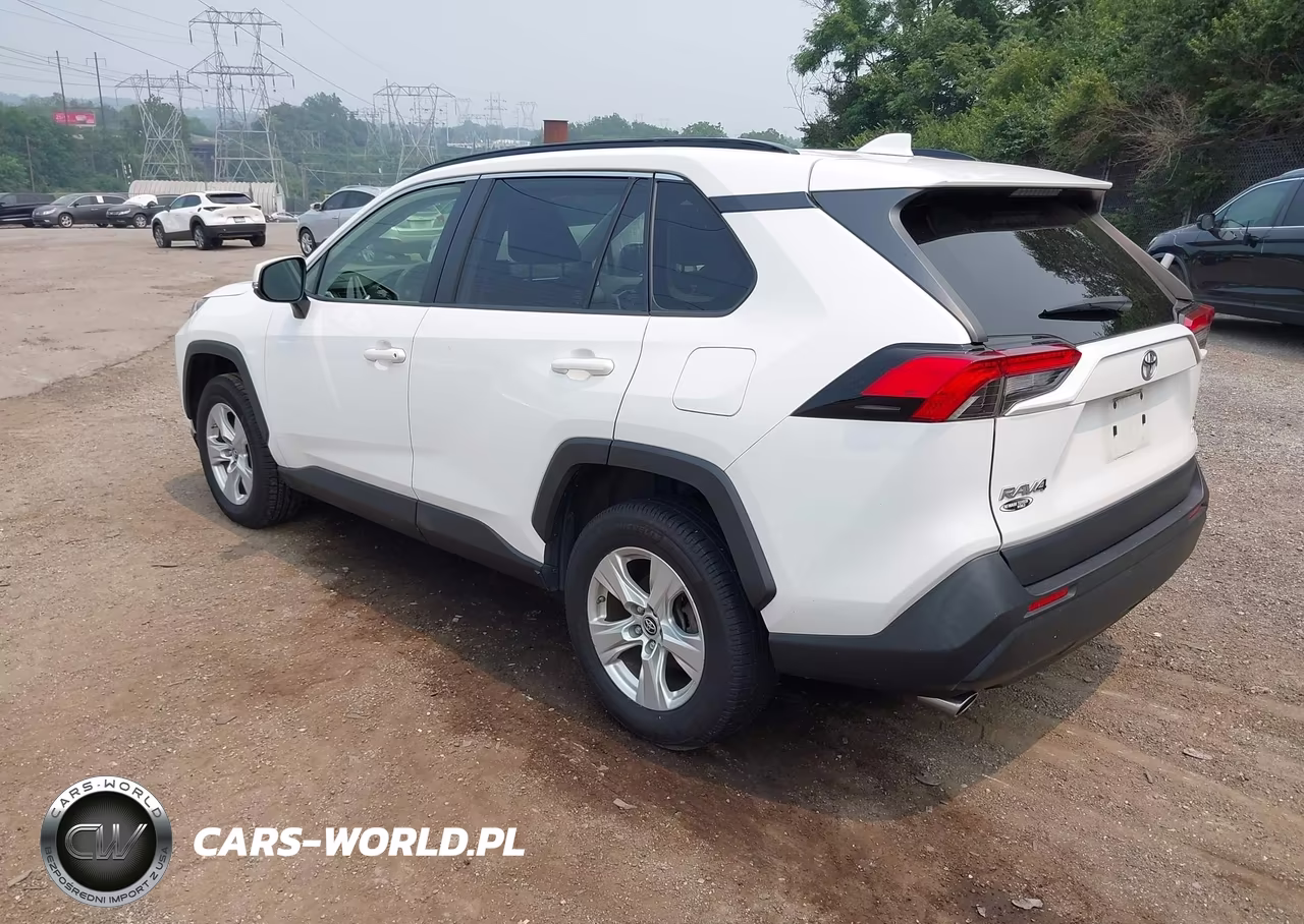 2019 Toyota Rav4 Xle VIN:JTMP1RFV1KD501154 - 3