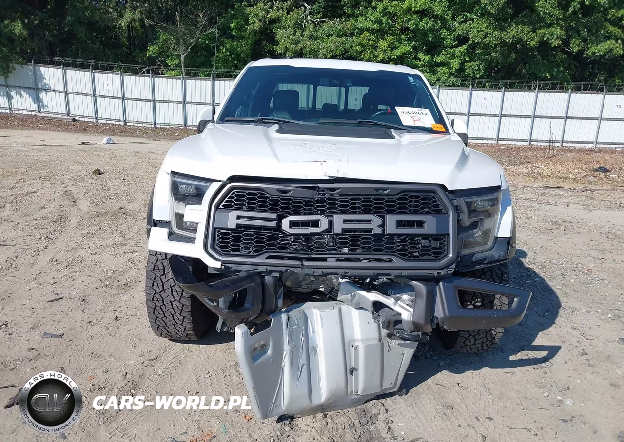 2018 Ford F-150 Raptor VIN:1FTFW1RG0JFA86732 - 12