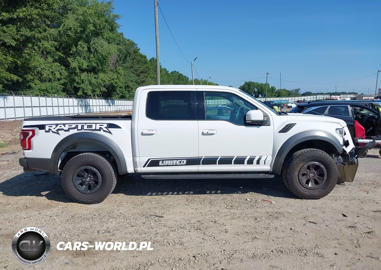 2018 Ford F-150 Raptor VIN:1FTFW1RG0JFA86732 - 13