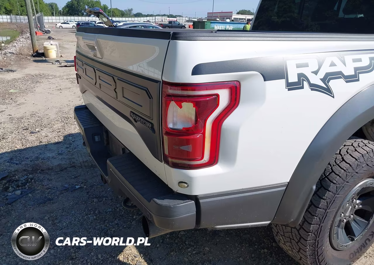 2018 Ford F-150 Raptor VIN:1FTFW1RG0JFA86732 - 18