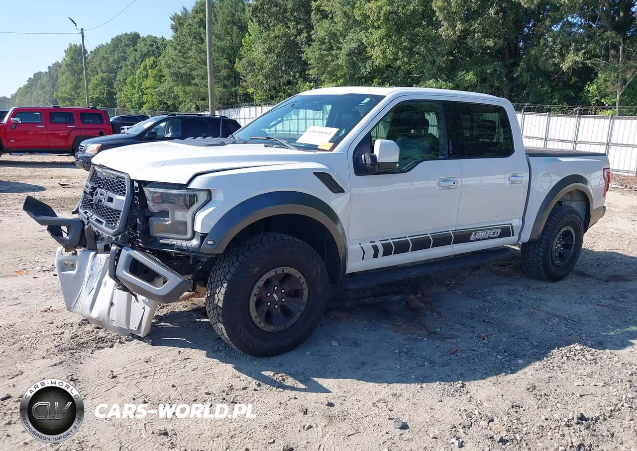 2018 Ford F-150 Raptor VIN:1FTFW1RG0JFA86732 - 2