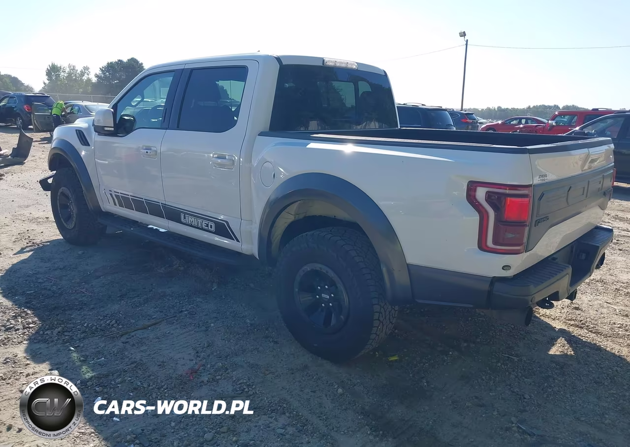2018 Ford F-150 Raptor VIN:1FTFW1RG0JFA86732 - 3