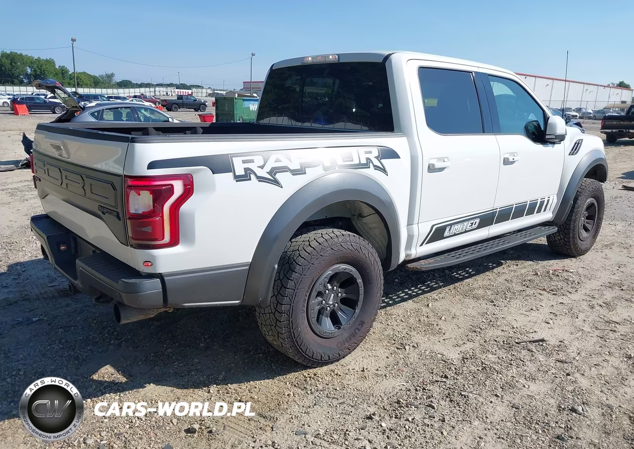 2018 Ford F-150 Raptor VIN:1FTFW1RG0JFA86732 - 4