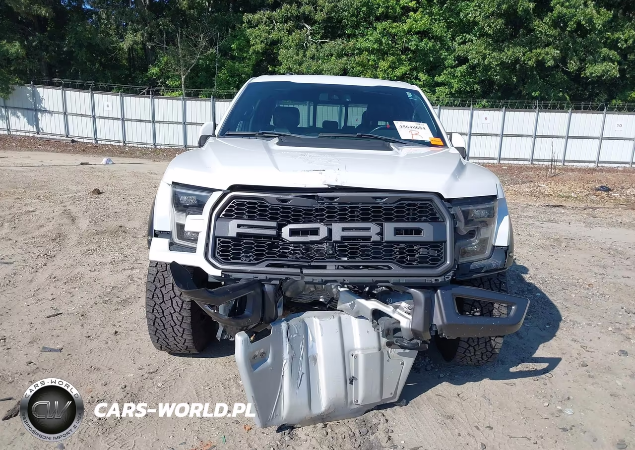 2018 Ford F-150 Raptor VIN:1FTFW1RG0JFA86732 - 6