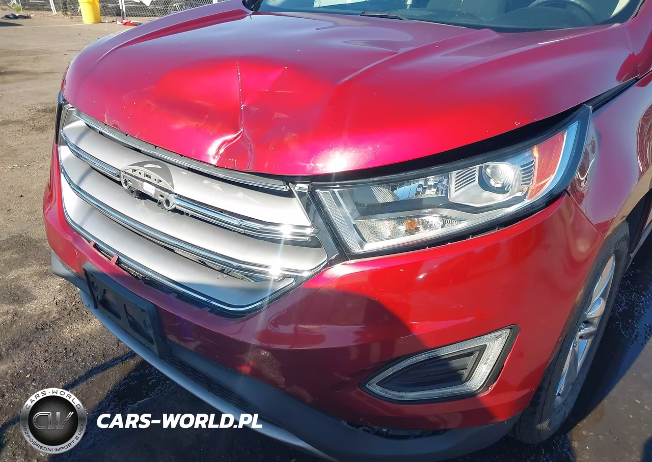 2016 Ford Edge Sel VIN:2FMPK3J91GBB19185 - 6