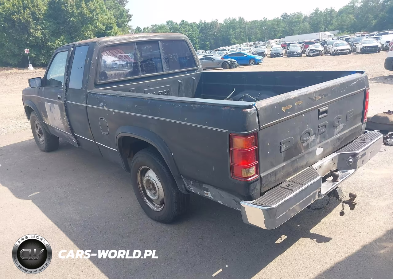 1992 Dodge Dakota VIN:1B7FL23X8NS668789 - 3