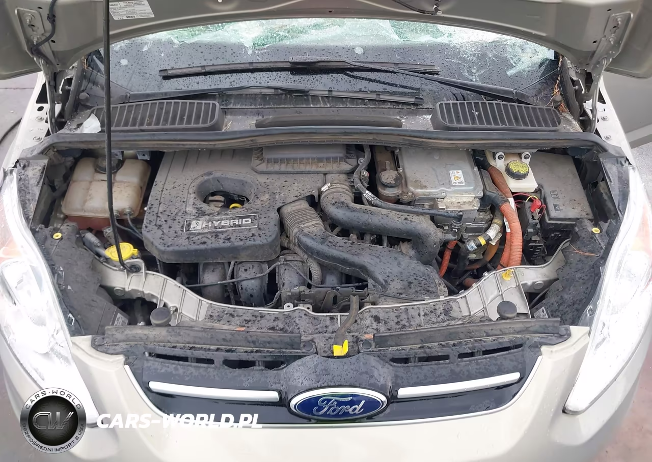 2015 Ford C-Max Hybrid Sel VIN:1FADP5BU2FL124939 - 10