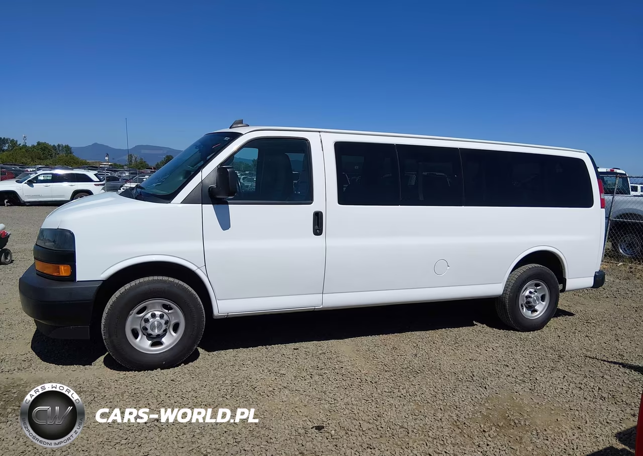 2020 Chevrolet Express Passenger Rwd 3500 Extended Wheelbase Ls VIN:1GAZGNFP9L1266306 - 16