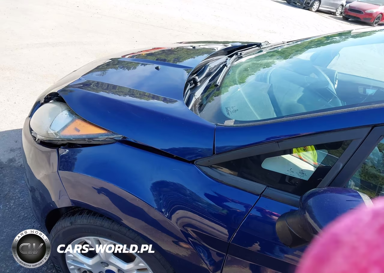 2016 Ford Fiesta Se VIN:3FADP4BJ0GM174089 - 21