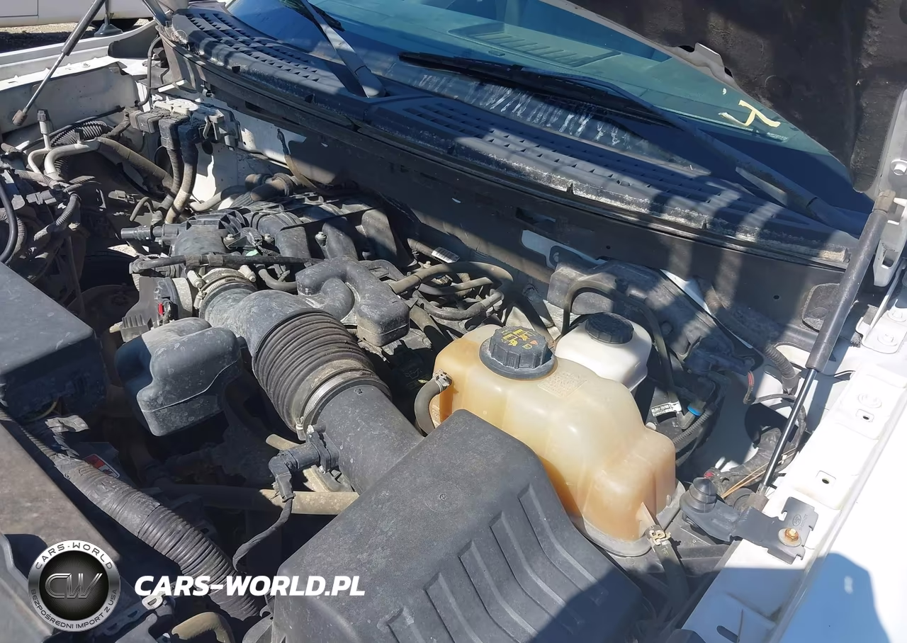 2013 Ford F-150 Xl VIN:1FTMF1EM5DFB92231 - 10