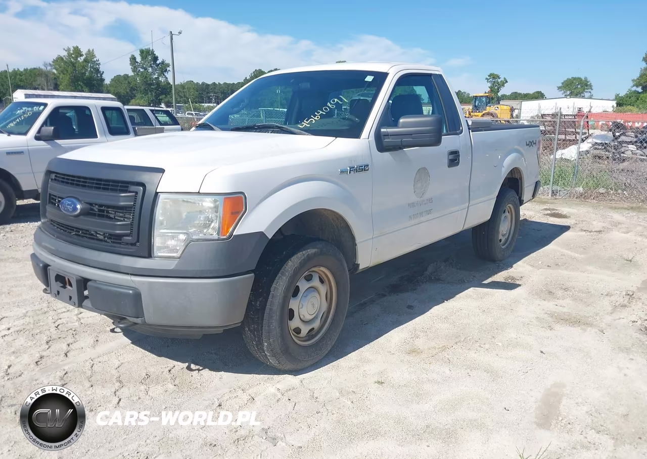 2013 Ford F-150 Xl VIN:1FTMF1EM5DFB92231 - 2