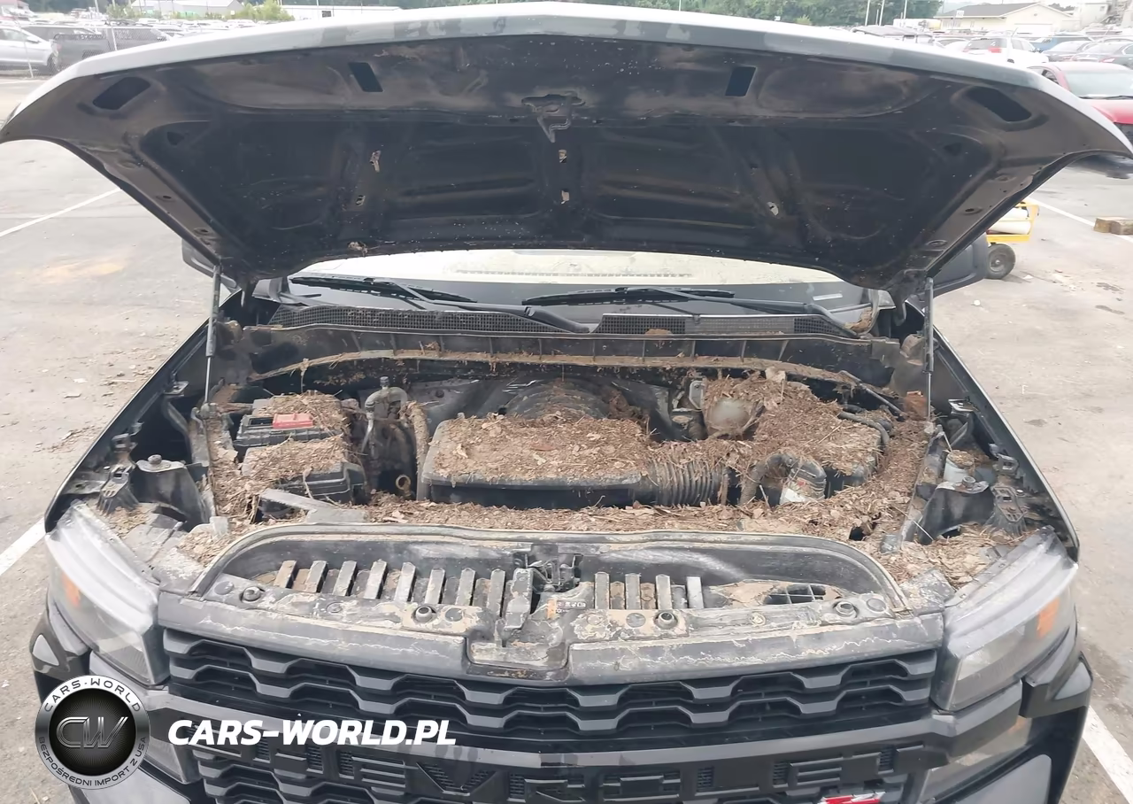 2020 Chevrolet Silverado 1500 4Wd Short Bed Custom Trail Boss VIN:3GCPYCEF4LG261539 - 10