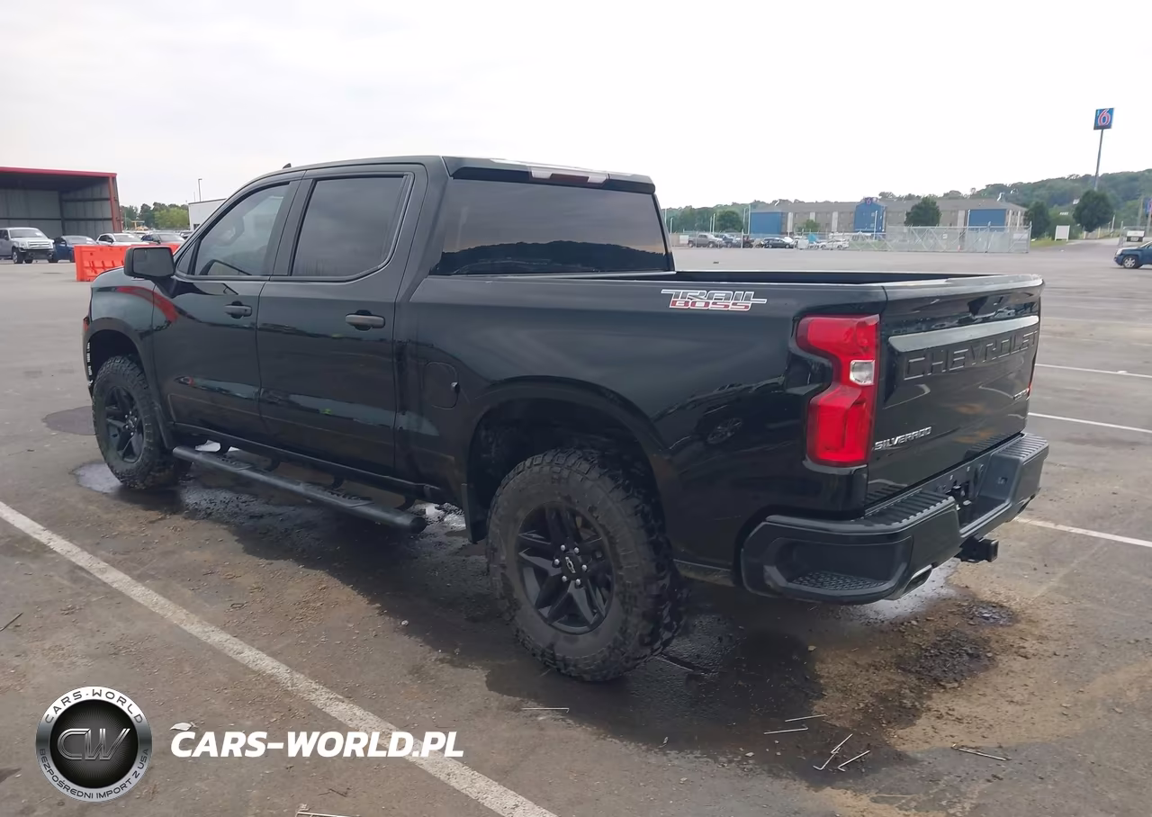 2020 Chevrolet Silverado 1500 4Wd Short Bed Custom Trail Boss VIN:3GCPYCEF4LG261539 - 3