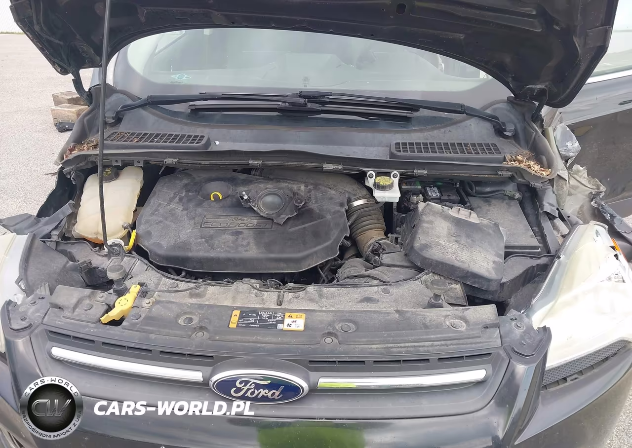 2014 Ford Escape Se VIN:1FMCU9G90EUB96415 - 10