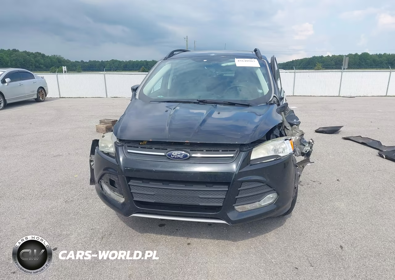 2014 Ford Escape Se VIN:1FMCU9G90EUB96415 - 12