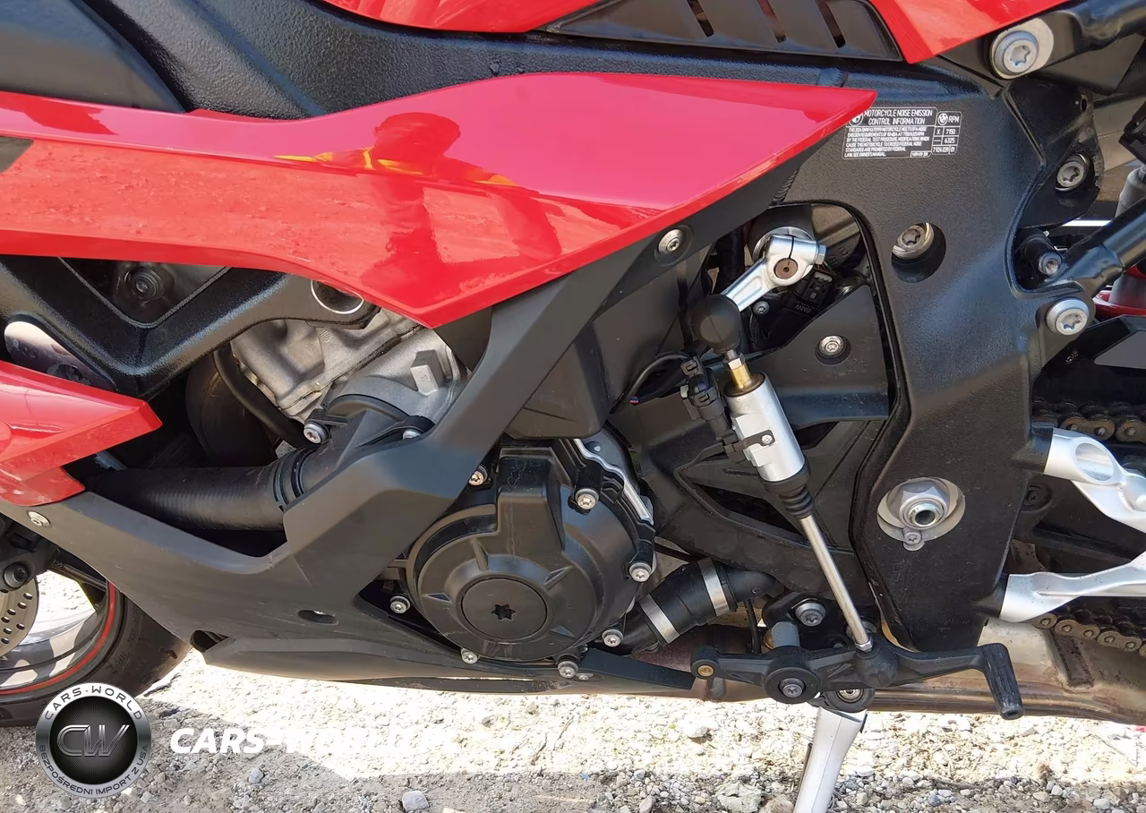 2024 BMW S 1000 Rr VIN:WB10E6309R6K51588 - 9